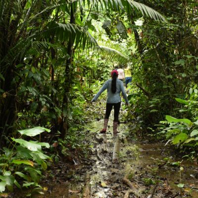 Ecuador, El Fogon