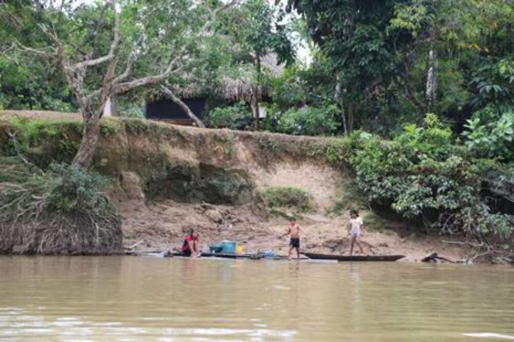 Erdölförderung im Yasuni-Regenwald