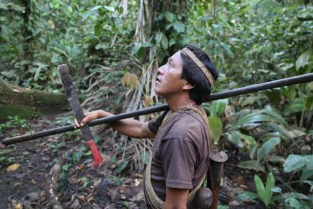 Erdölförderung im Yasuni-Regenwald