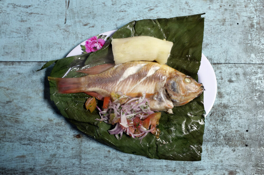 Rio Napo Tellermit Fisch