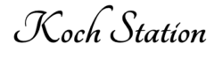 Kochstation