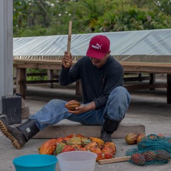 Ecuador, Choco Samona Schokoladeproduktion