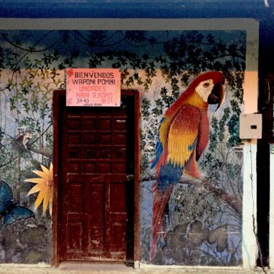 Rio Napo, Ecuador