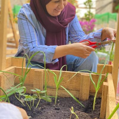 ​  Der Stadt-Garten der Soufra Cafeteria gedeiht ⁣